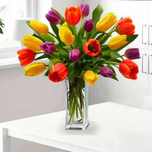 20 Mixed Colour Premium Tulips