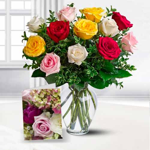 Elegant 12 Mixed Colour Roses