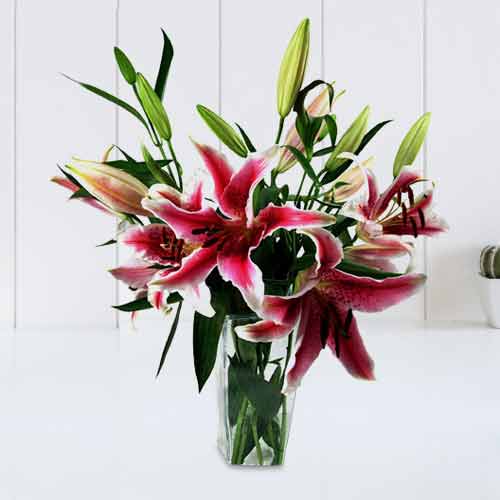 5 Attractive Stargazing Lilies Bouquet