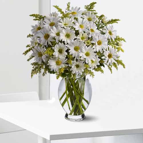 Excellent Bouquet of 36 White Daisies