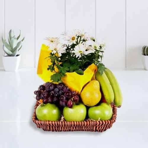 Blooming Plant and Seasonal Fruits  Basket