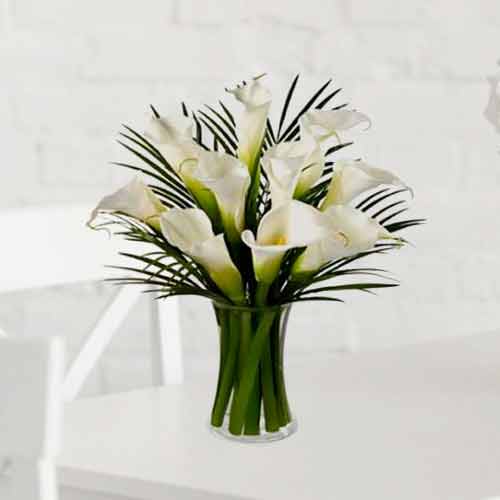 Bouquet of 10 White Elegant Calla Lilies