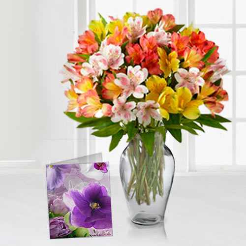 Stunning Bouquet of 50 Alstroemeria and  Card