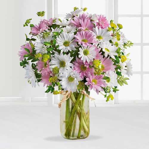  Daisy and Chrysanthemums in Mason Jar