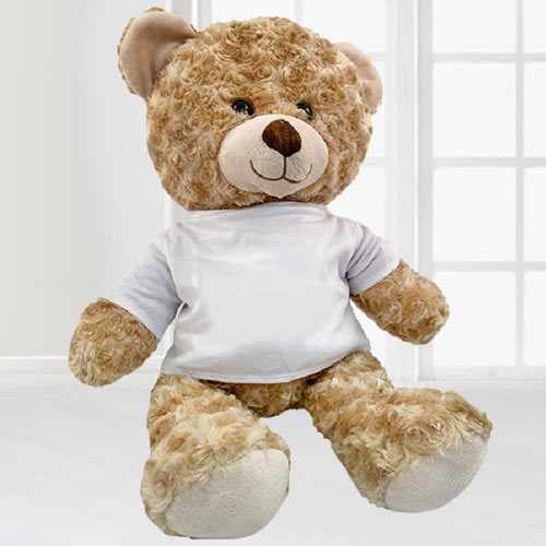 16 inch Adorable Teddy Bear