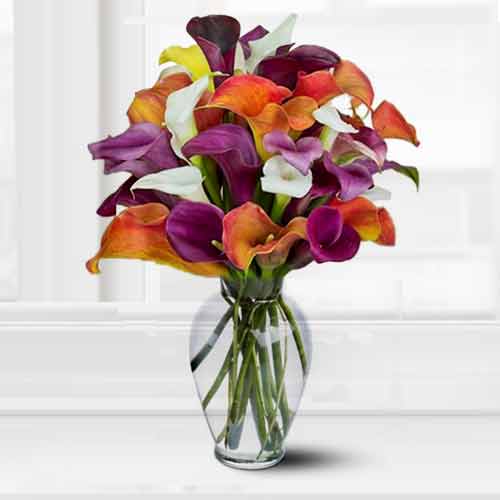 Bouquet of 10  Mixed Calla Lilies