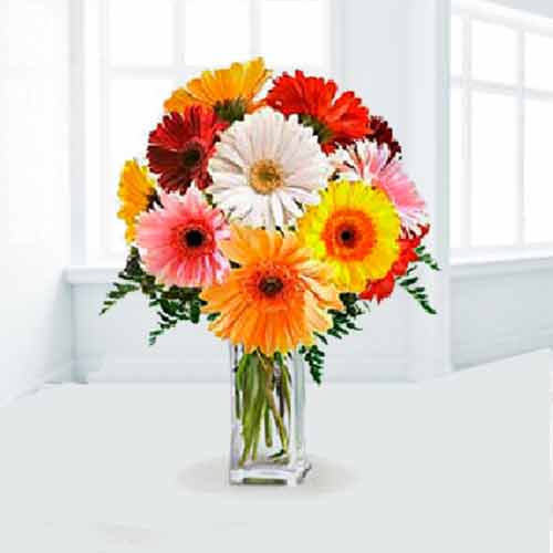 Bouquet of 10 Mixed Colour Gerberas