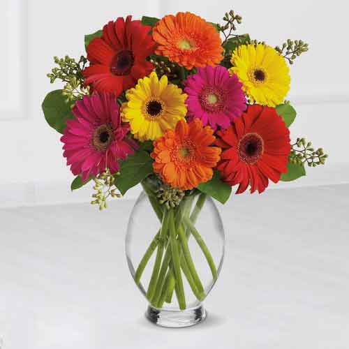 Bright and Colourful Gerbaras Bouquet