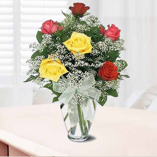 6 Long Stemmed Mixed Colour Roses