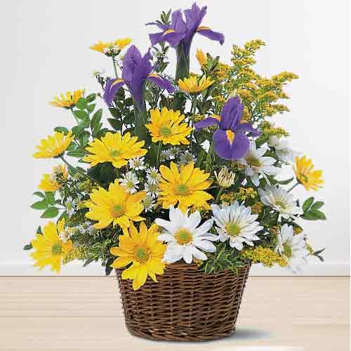 Cheerful Yellow and White Daisies in a Basket