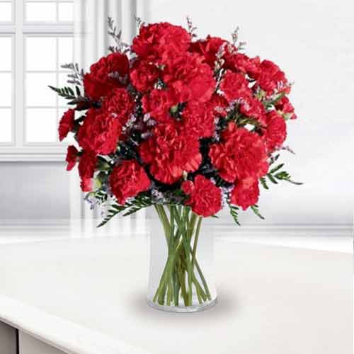 Stunning Bouquet of Red Carnation