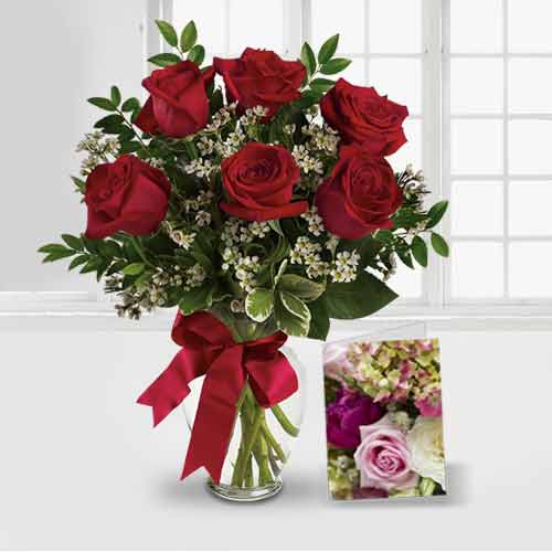 6 Gorgeous Red Rose Bouquet with a Card